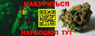 сатива Бузулук
