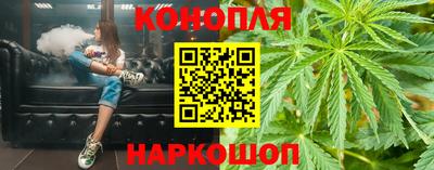 гидропоника Будённовск