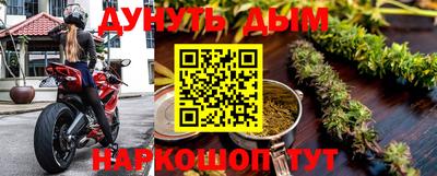 сатива Бузулук